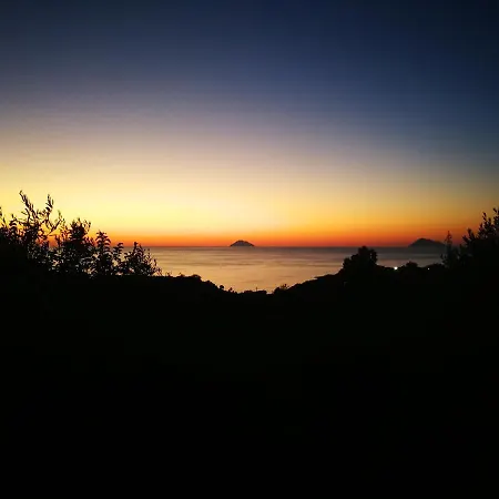 Capo